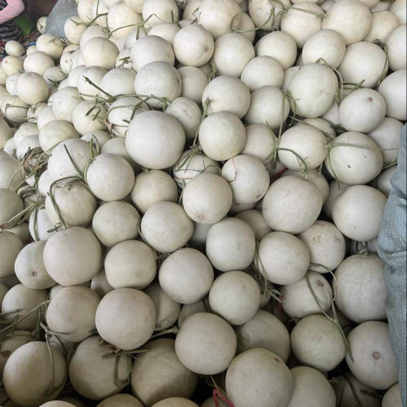 玉菇甜瓜