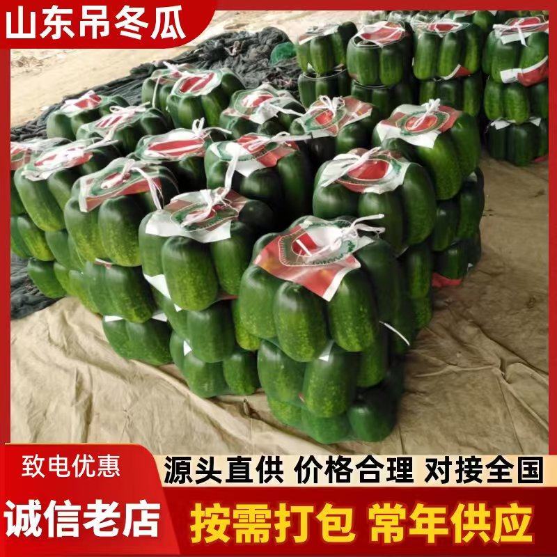 山东吊冬主产地，供应各大商超，电商平台。