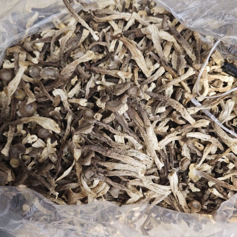 贵旺鹿茸去10斤干货整箱菌菇新货鹿耳菇火锅蘑菇煲汤食材