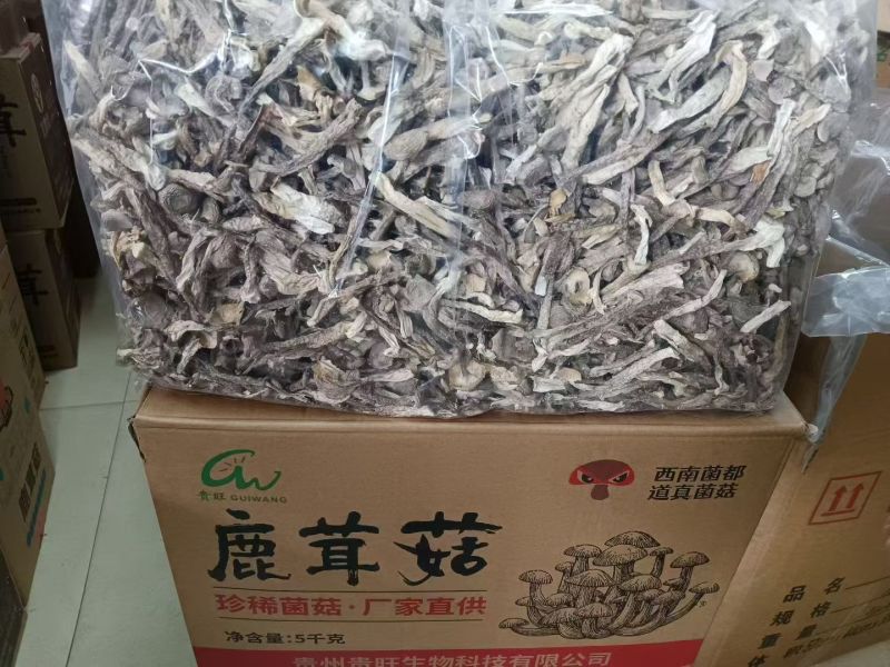 贵旺鹿茸去10斤干货整箱菌菇新货鹿耳菇火锅蘑菇煲汤食材