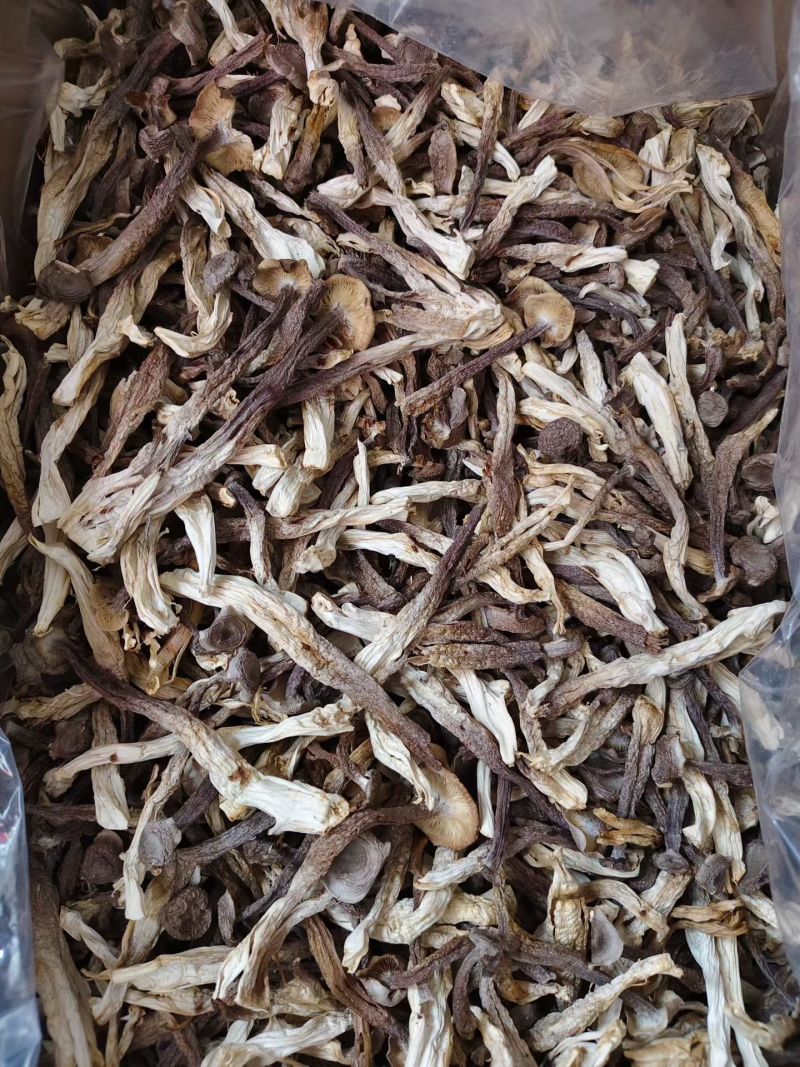 贵旺鹿茸去10斤干货整箱菌菇新货鹿耳菇火锅蘑菇煲汤食材