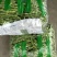 精品大青豆大量上市价格优美价格优美