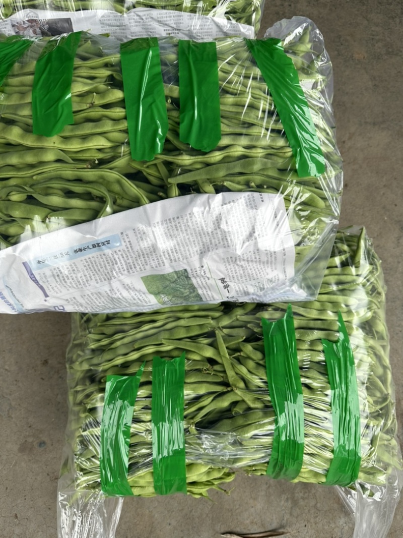 精品大青豆大量上市价格优美价格优美