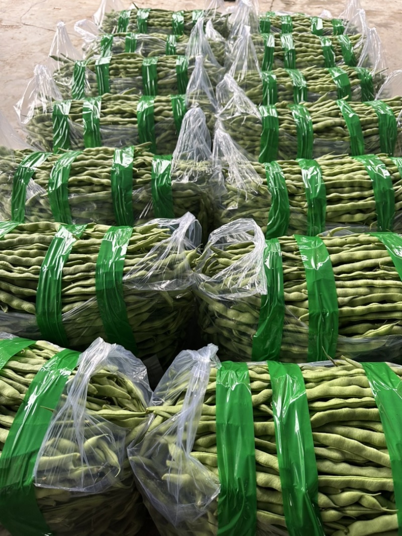 精品大青豆大量上市价格优美价格优美