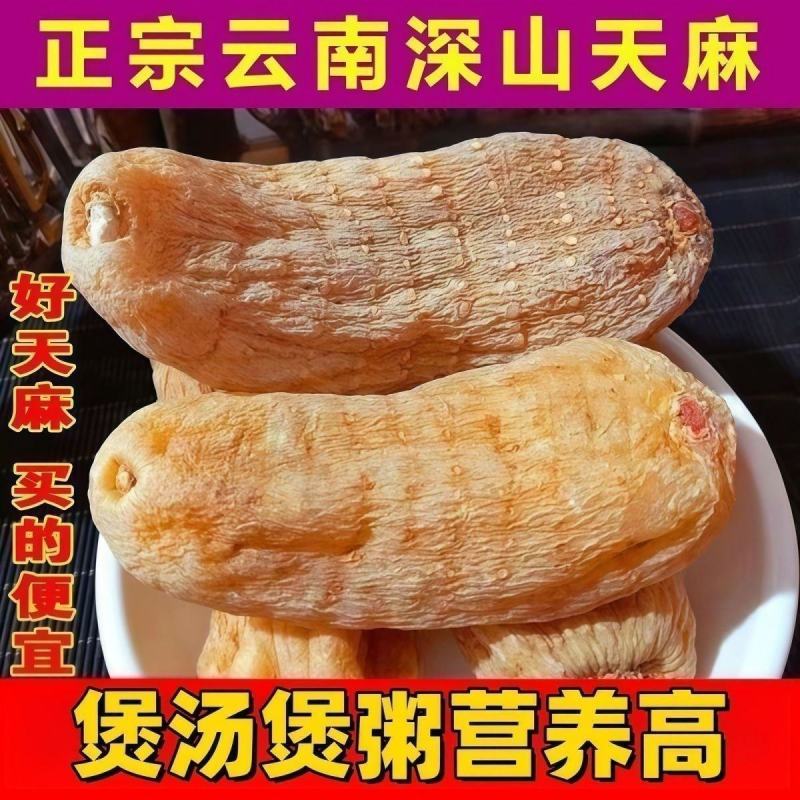 云南昭通野生天麻***正宗手脚特级无硫煲汤正品新鲜