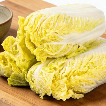 山东临沂大白菜
