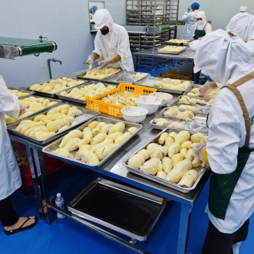 越南进口优质金枕榴莲冻肉