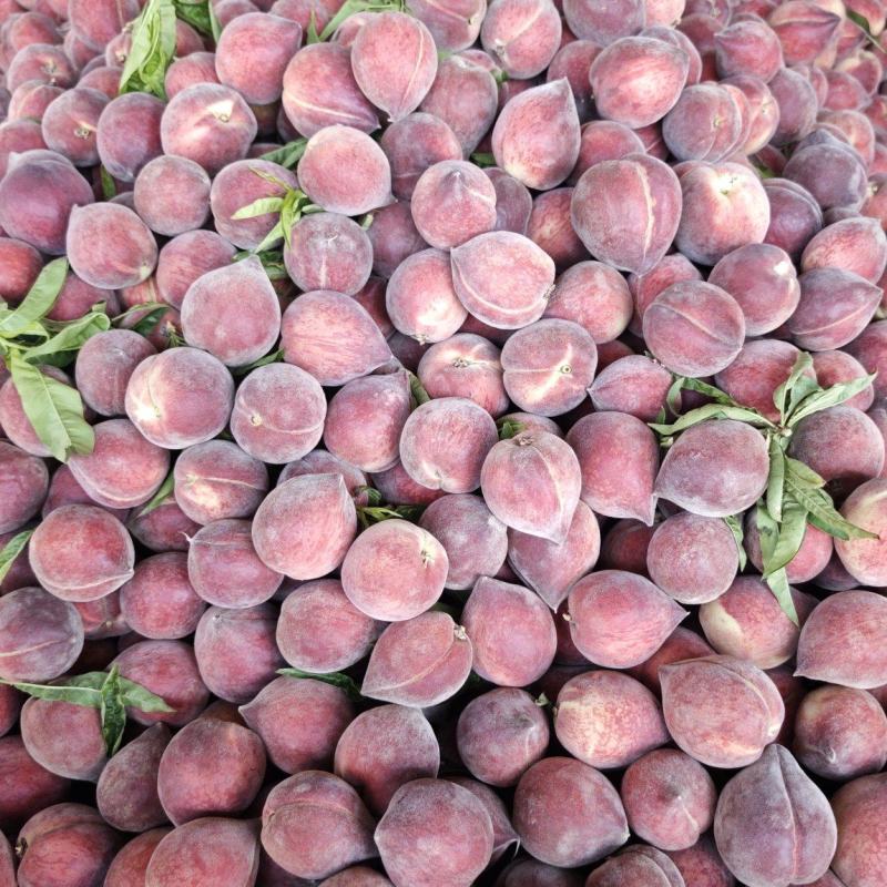 云南红桃大量上市
