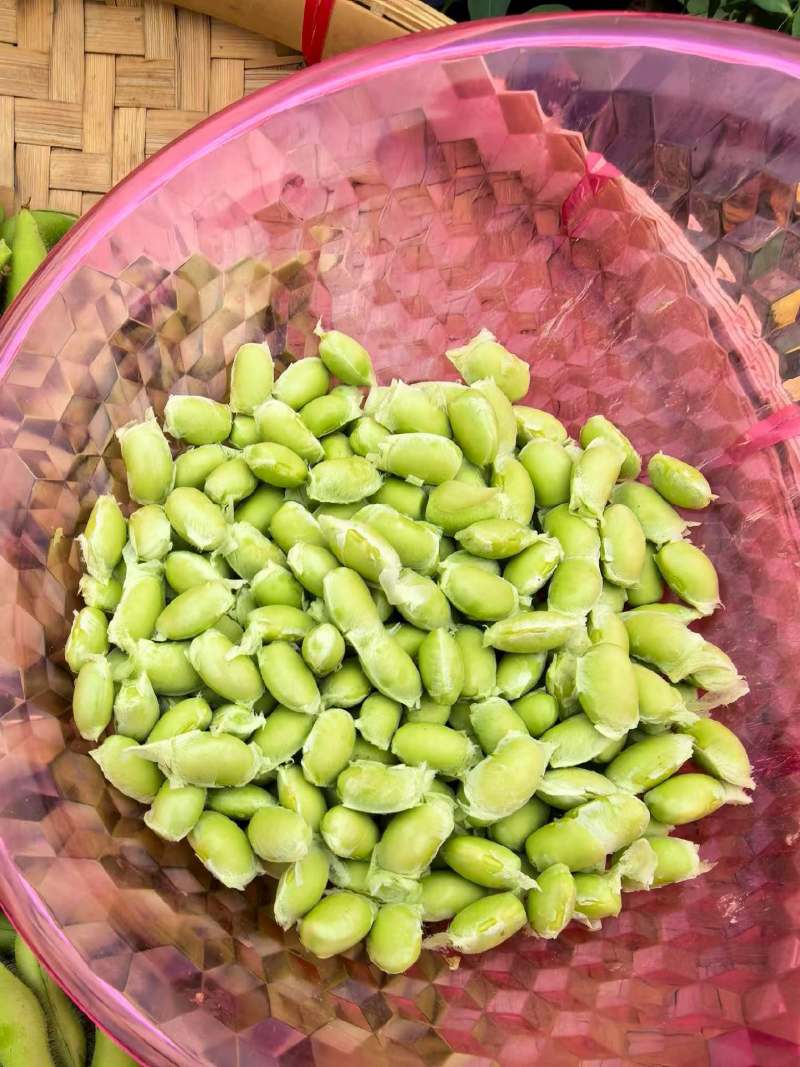 绿宝石毛豆产地直销量大质优价格优惠一手货源欢迎咨询