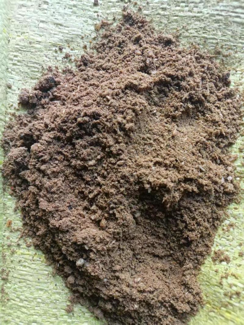 淡水鱼粉，蛋白54，水产养殖，降低成本，饲料厂