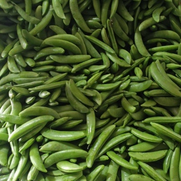 露天精品甜豌豆