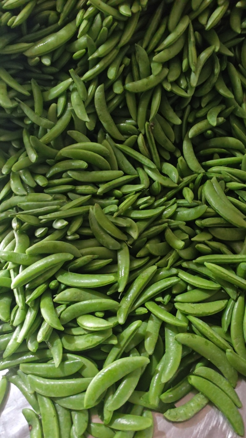 露天精品甜豌豆