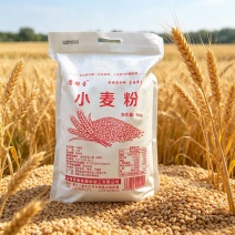 东北黄碴老面粉5kg/袋