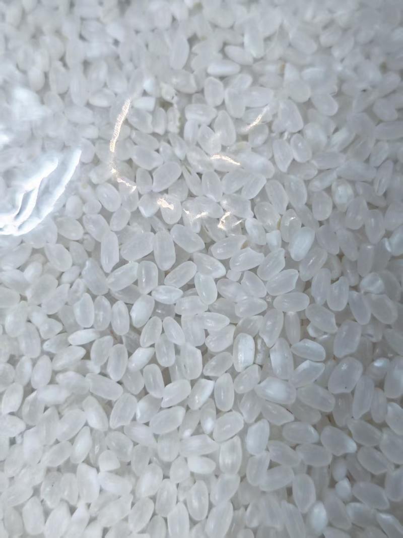 东珍珠大米，拒绝农残自然生长还原本真粒粒如珠蒸饭软糯