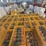 徐闻金钻凤梨日发5万斤➕能力，欢迎电商，直播老板砸单