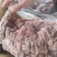 八成熟羊肉纯干无冰全是净肉清炖羊汤馆**