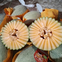 蜜瓜