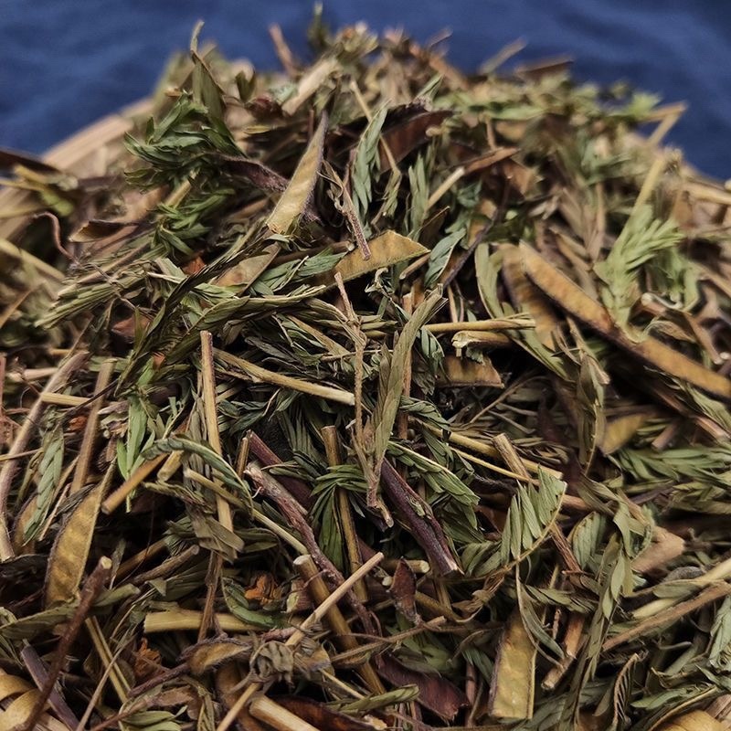 软肝草广西野生中药材软肝草铁甲草益肝草含羞草决明中草药