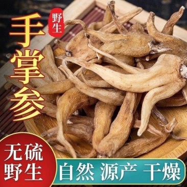 手掌参中药材佛手参正宗西藏特产佛手参干手儿参精选