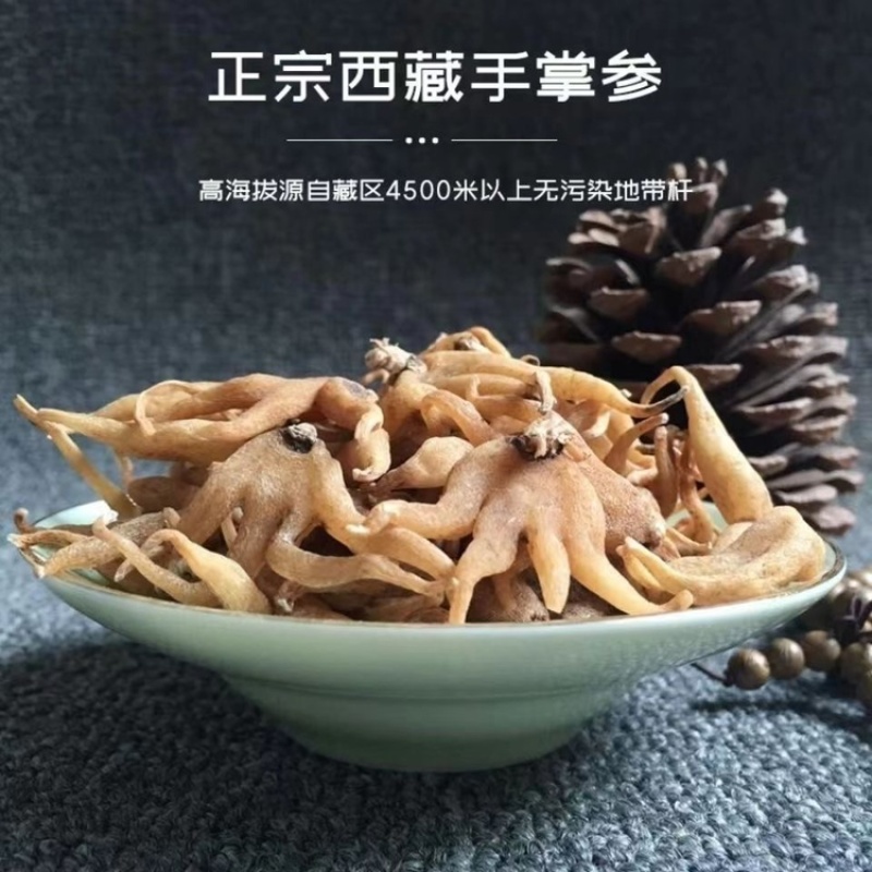 手掌参中药材佛手参正宗西藏特产佛手参干手儿参精选