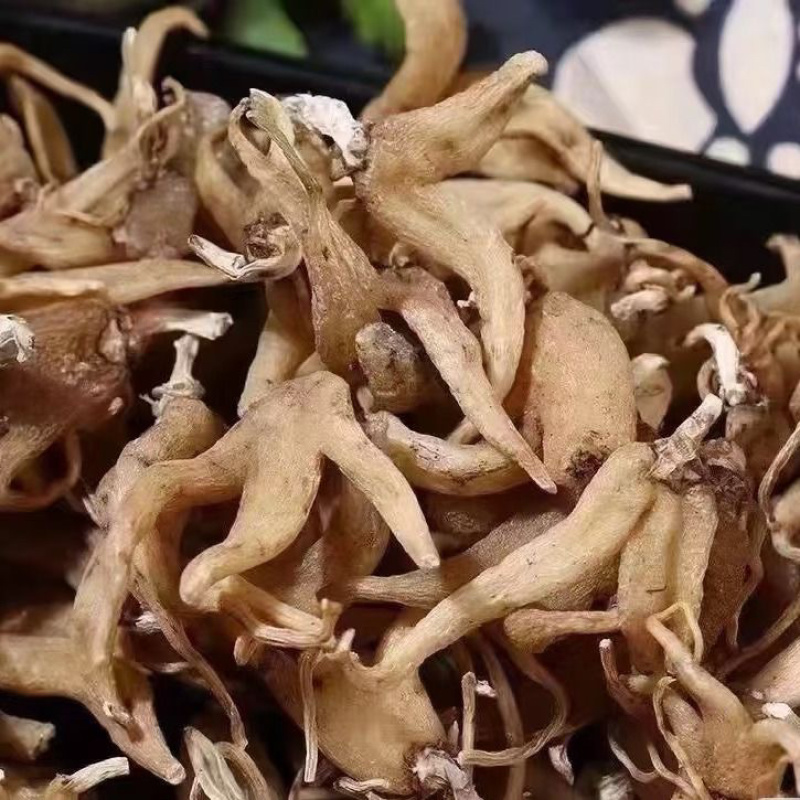 手掌参中药材佛手参正宗西藏特产佛手参干手儿参精选