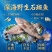 深海石斑鱼三去石斑鱼20条1件～电商直播一件代发批发
