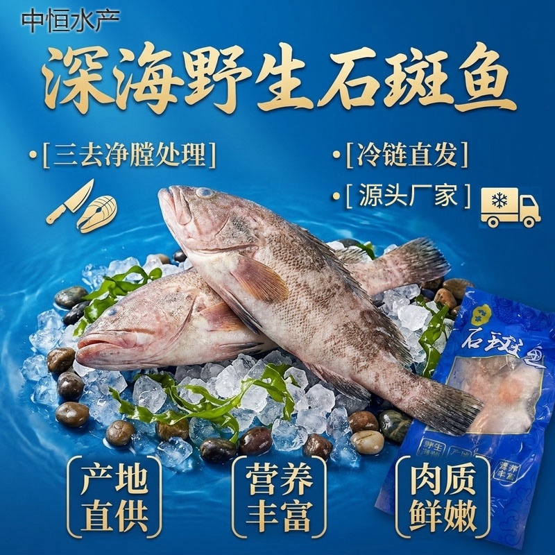 深海石斑鱼三去石斑鱼20条1件～电商直播一件代发批发