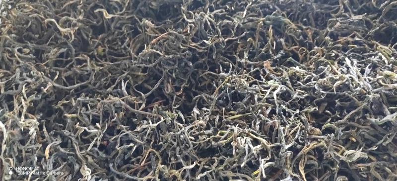 云南红河生态茶，口感醇厚香甜，回甘持久，性价比超高。