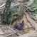 本地散养土鸡蛋（乌鸡蛋）货源充足量大从优质量保证