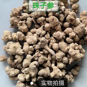 珠子参中药材道地药材***诚信经营合作共赢