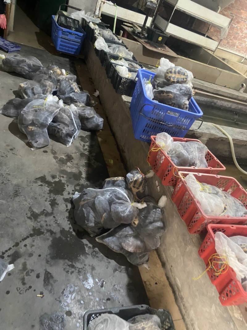 货源充足、各种规格现货