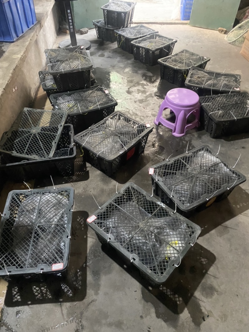 货源充足、各种规格现货