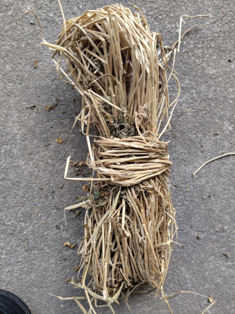 香苜蓿调味调料香料香草凉皮调料香苜蓿香料香豆子花卷蒸馍卤