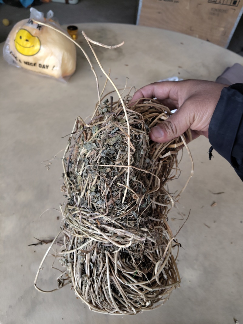 香苜蓿调味调料香料香草凉皮调料香苜蓿香料香豆子花卷蒸馍卤