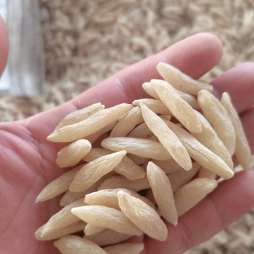 25版生态麦冬包过检