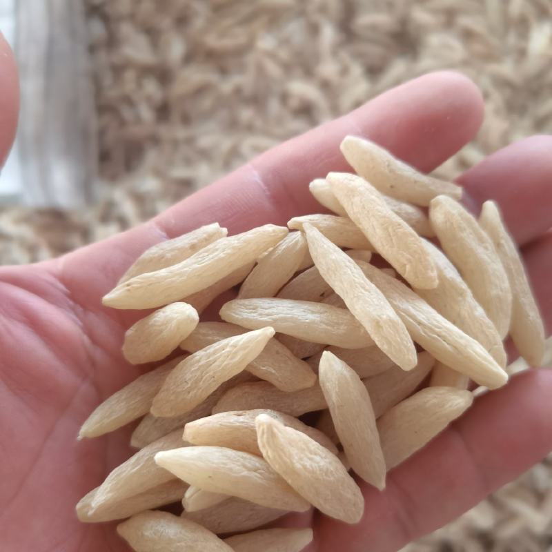 25版生态麦冬包过检