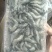 小黑虎虾，小草虾，200克净重300克毛重
