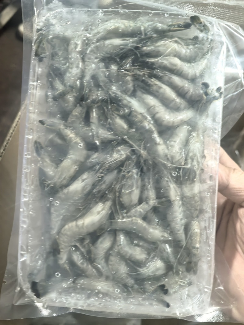 小黑虎虾，小草虾，200克净重300克毛重