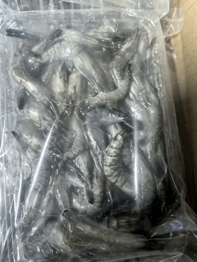 小黑虎虾，小草虾，200克净重300克毛重