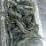 小黑虎虾，小草虾，200克净重300克毛重