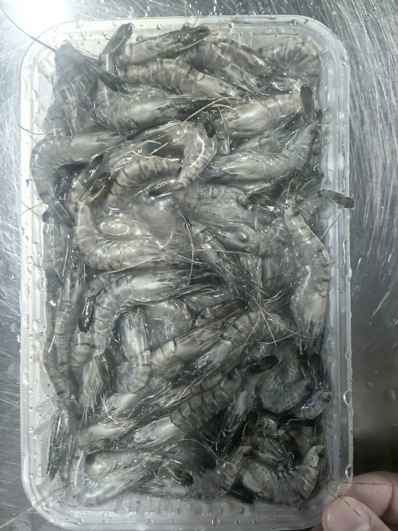 小黑虎虾，小草虾，200克净重300克毛重