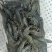 小黑虎虾，小草虾，200克净重300克毛重