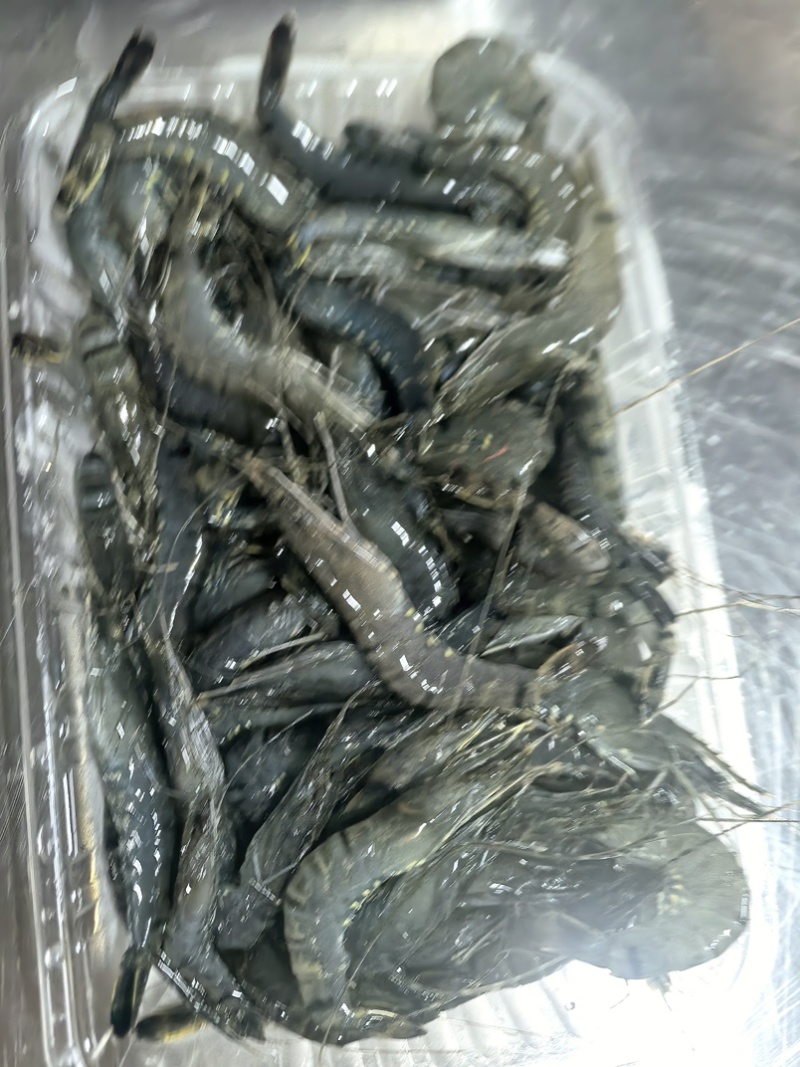 小黑虎虾，小草虾，500克一包，椒盐虾饼油炸