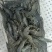 小黑虎虾，小草虾，500克一包，椒盐虾饼油炸
