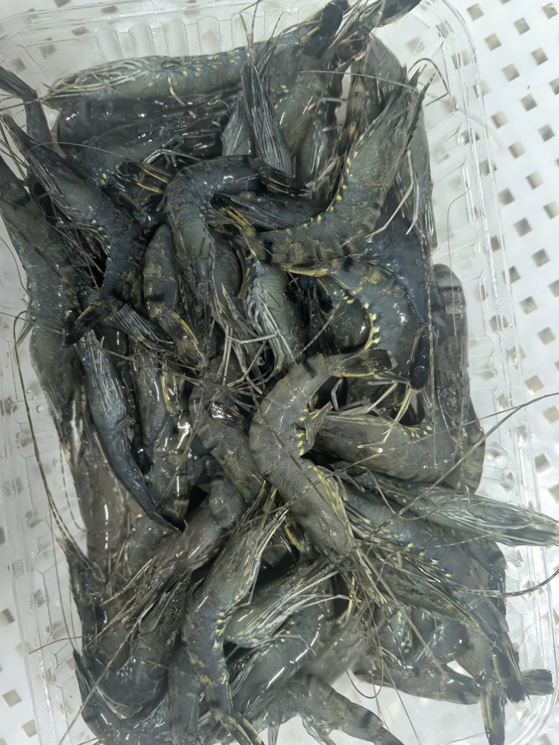 小黑虎虾，小草虾，500克一包，椒盐虾饼油炸