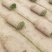 【果岭草】优质草坪种植基地现货现发品质好价格低