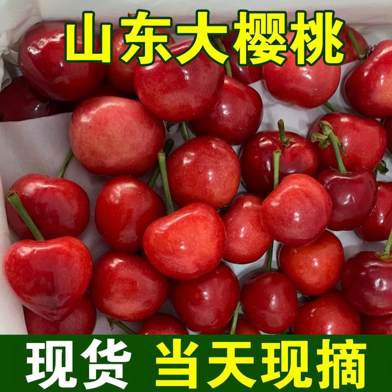 【一件代发】红灯樱桃/山东樱桃/对接电商平台～团购～商超
