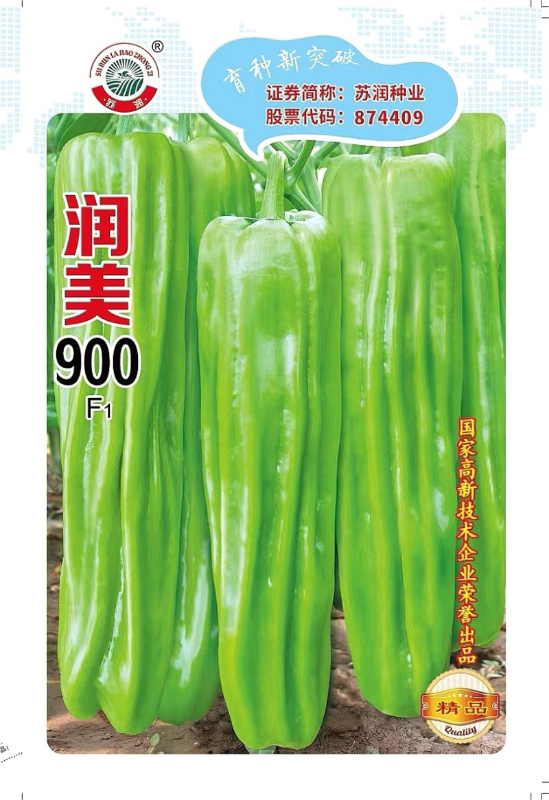 辣椒种子润美900粗长大黄皮泡椒挂果多品质好产量高