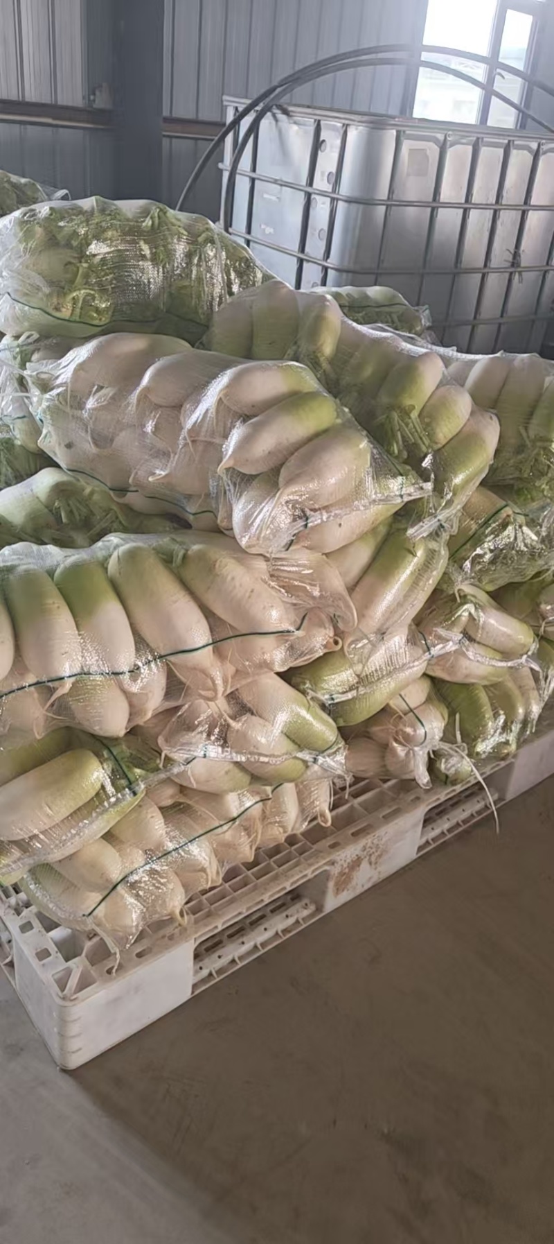 红心心灵美萝卜，宁夏产地直发，欢迎老板视频看货