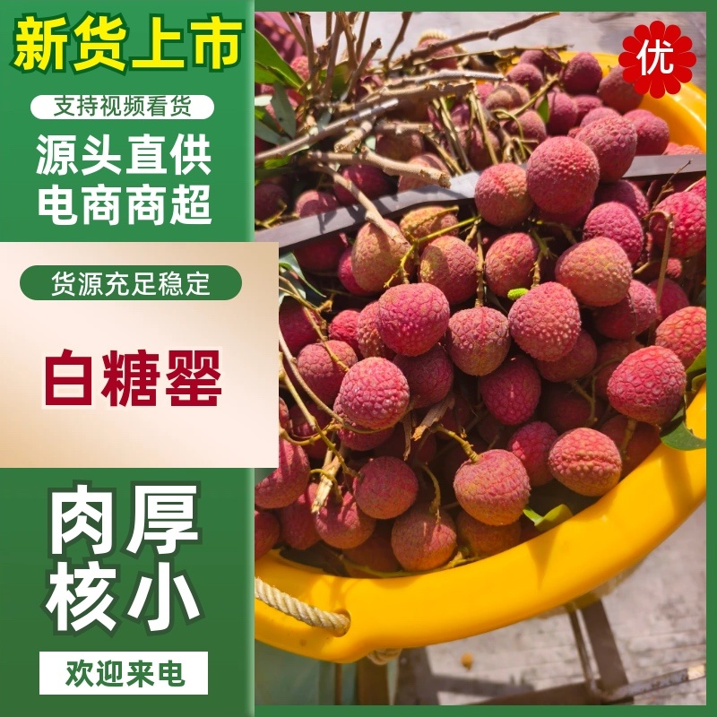 白糖罂荔枝广东荔枝茂名高州产地直发全国发货